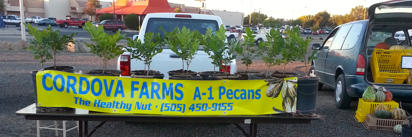 Selling Pecan Trees off the truck at the Grower's Market in Los Lunas, New Mexico.